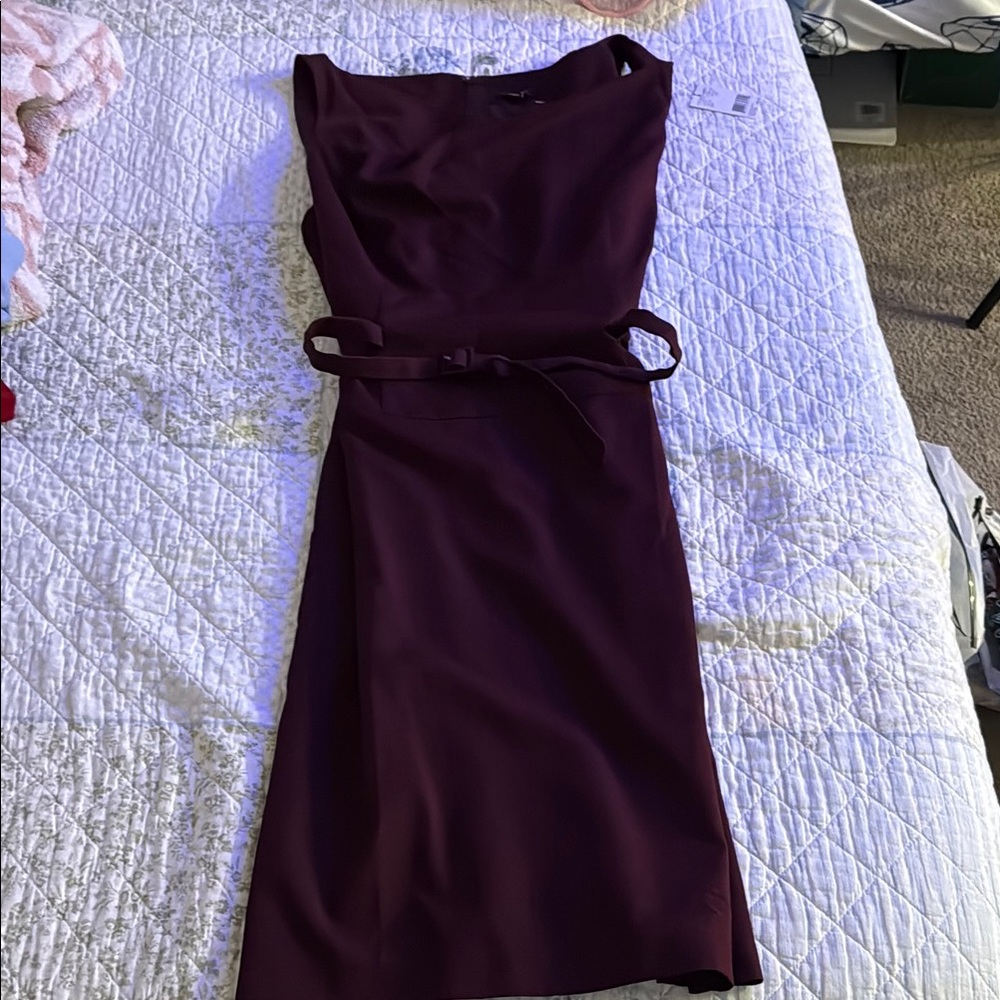 Elegant Burgundy Sleeveless Dress